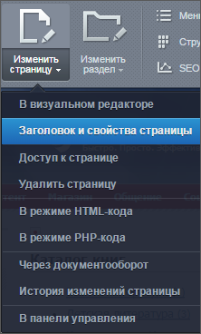 пункт меню "Заголовок и свойства страницы"