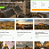Разработали сайт для нового проекта GoTrips. Посмотрите, что получилось